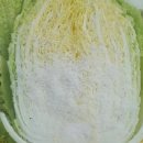 가래울농장 이미지