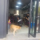 TK바이크샵