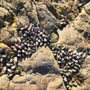 해월평원펜션 이미지