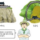 돼지발 이미지