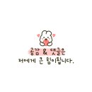 베롱혼디(Beronghondi)