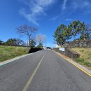 서귀진지 이미지