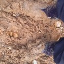 리틀하우스 이미지