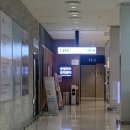 통합놀이 오감대장(6~10개월 A) | 은평롯데몰 롯데마트 문화센터 &#39;햇님이 방긋&#39; 여름학기 후기