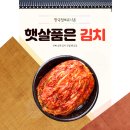 햇살품은 김치 이미지