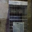 포산동물병원 이미지