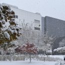 삼성바이오 | 삼성 바이오로직스 합격 후기 황금명함 선물 꽃다발 SVP (분명 망한 면접이었지만 면까몰)