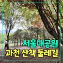 🚶‍♂️‍➡️힐링트레킹🚶‍♀️4월1일 (수요일) 오후2시 과천 둘레길 봄산책 갑니다 이미지