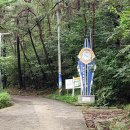 밤숲유원지 이미지