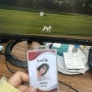 여름공격