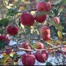 청송우체국 이미지