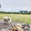 댕그라운드 이미지