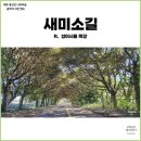 요한목장 | 제주 서쪽 한림읍 금악리 사진명소 새미소길 ft. 성이시돌목장