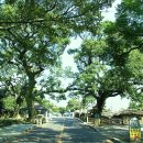 성읍리-18 이미지