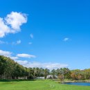 풍경(風景) | 추천 홋카이도 골프장 - 즈이엔 컨트리클럽 에니와 코스) 10~18번 홀 리뷰 및 총평