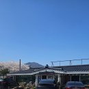 꽃향기 | [양양 맛집] 양양본점 메밀꽃향기 내돈내산 솔직후기 (+들기름막국수, 메밀전병, 들깨감자옹심이)