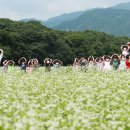 메밀꽃필무렵 이미지