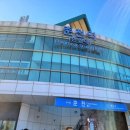 강원도 춘천 여행 막국수체험 박물관 김유정문학촌 실내사격장 국립춘천 숲체원