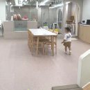 풀로잉 키즈풀 워터파티룸