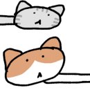 서정818 이미지
