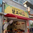 시골청과 이미지