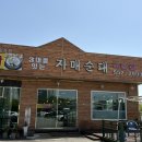 천안 병천순대거리 맛집 추천 삼대를잇는자매순대