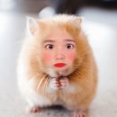 디저트39대구 이미지