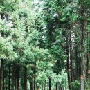 장흥시외버스터미널 이미지