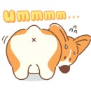 나루동물병원 이미지