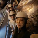 팔경마늘통닭 | 단양 2일차 핵심 코스: 구인사-온달관광지-구경시장! 줄 서서 먹은 흑마늘 만두&amp;통닭 솔직 후기