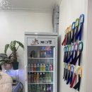 구미 고양이카페 분양 제이캣 | [구미/제이캣] 고양이들이 순해요 :)