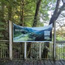 소리(Sound) | 7박 9일 뉴질랜드 남섬 여행 3 - 밀포드사운드(milford sound) 크루즈