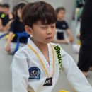 MTA 석사 태권도장 이미지