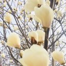 아라 일출 이미지