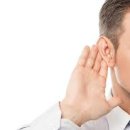 되지 생활건강 이미지