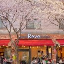 수지로227번길 이미지