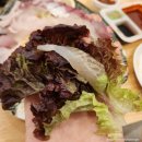 속초회잔니 | [속초 포장/배달 맛집] 교동에 위치한 가성비 좋은 모듬회 포장후기 '속초회잔니'