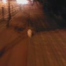 선만농장 이미지