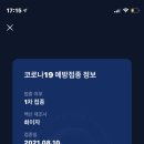 홀롤롤로 이미지