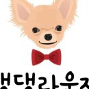 댕댕라운지 이미지