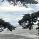 보르도 | 태안 위드오션 펜션 보르도방 후기｜4인가족 숙소 추천