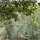 안덕면 감산리 재활용 도움센터 | 제주도 숨은 힐링 명소, 안덕계곡, 제주도 가볼만한 곳 추천