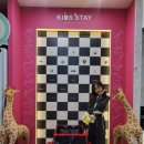 우월한스테이 이미지