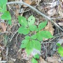 대심마을 이미지