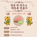 공모 | [꼬집스 15기] 6월 활동 후기 | 공모사업, 5월 행사, 6월 행사, 의무봉사