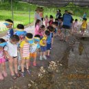 연산병설유치원 이미지