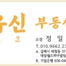 사파동317 이미지