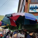 삼천포용궁수산시장 이미지