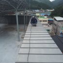 동명면사무소 이미지