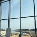 네스트호텔 호캉스 🧸🏨 (애프터눈티, 수영장, 조식, 저녁 조개구이맛집)